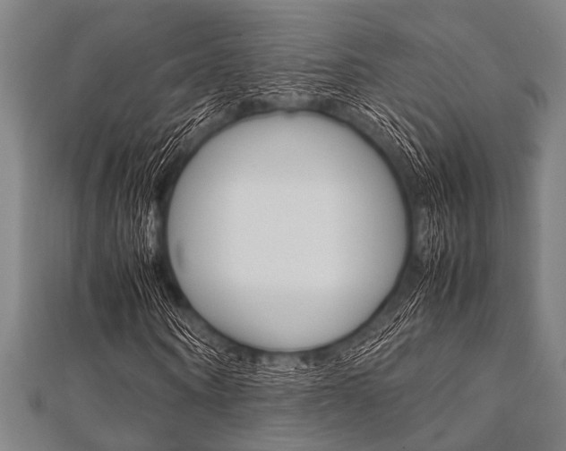 X0000112110866200908041149