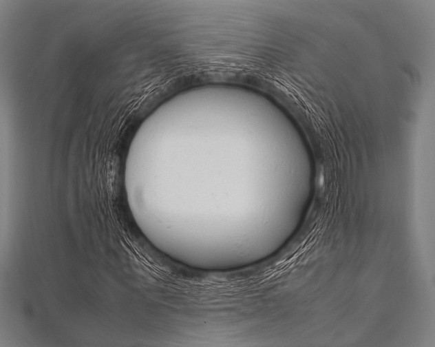 X0000112110867200908041149