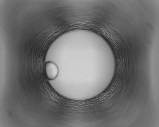 X0000112110868200908041149