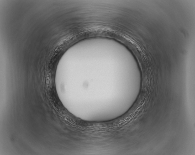 X0000112110869200908041149
