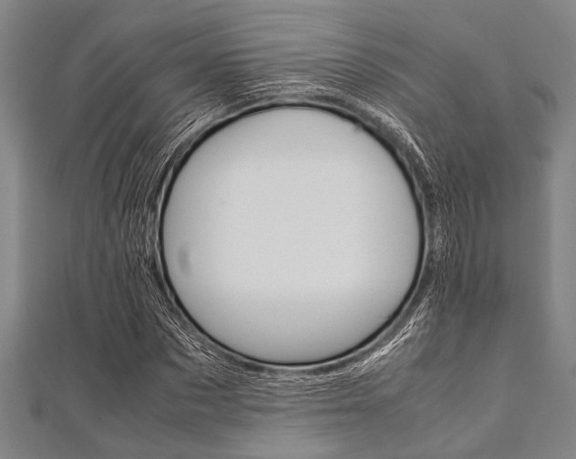 X0000112110873200908041149