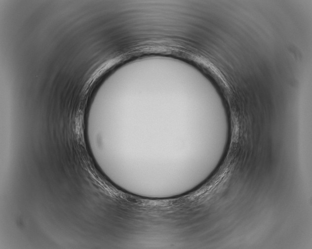 X0000112110874200908041149
