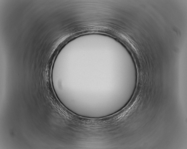 X0000112110875200908041149