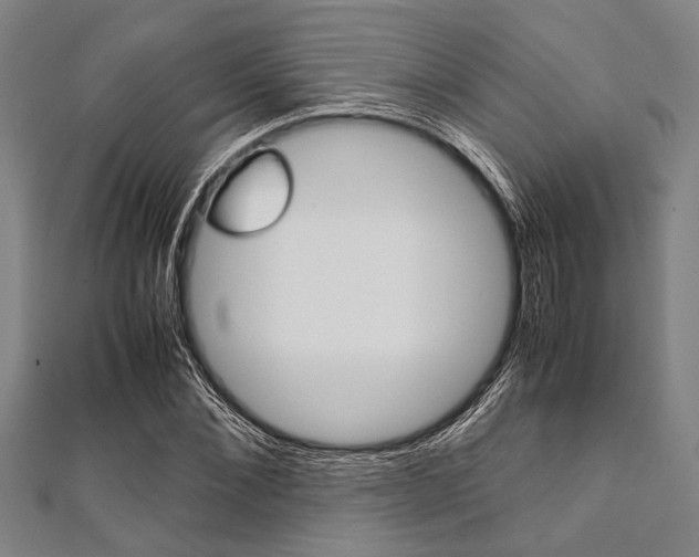 X0000112110876200908041149