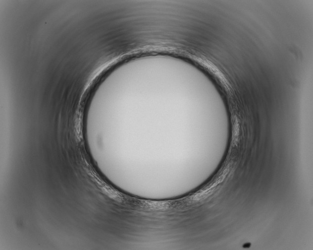 X0000112110878200908041149
