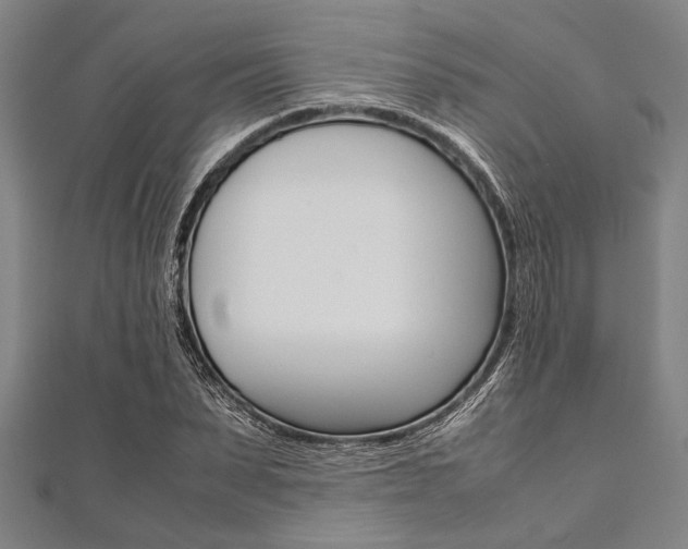 X0000112110879200908041149