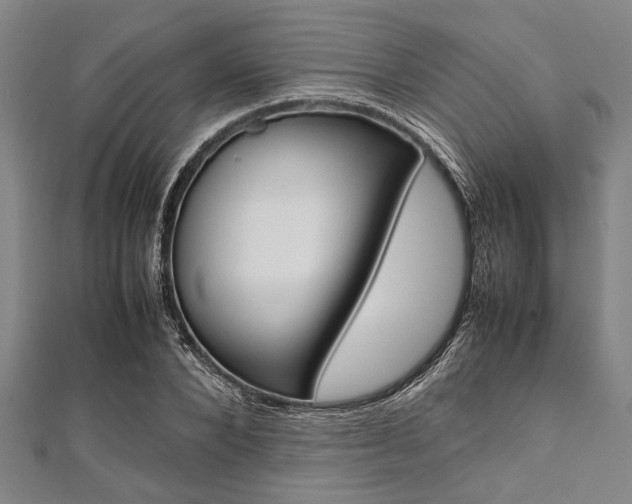 X0000112110880200908041149