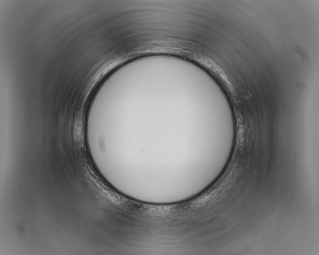 X0000112110882200908041149