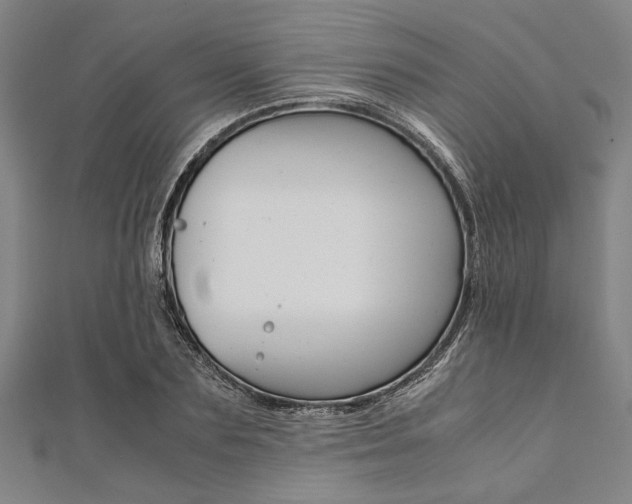 X0000112110883200908041149