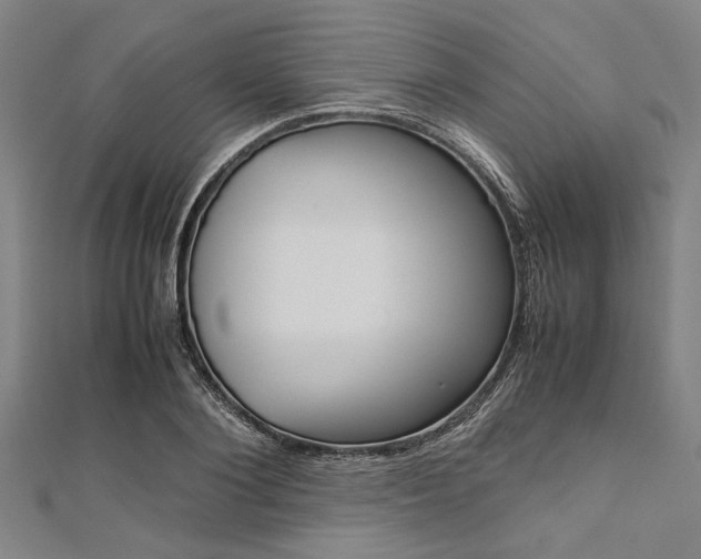 X0000112110884200908041149