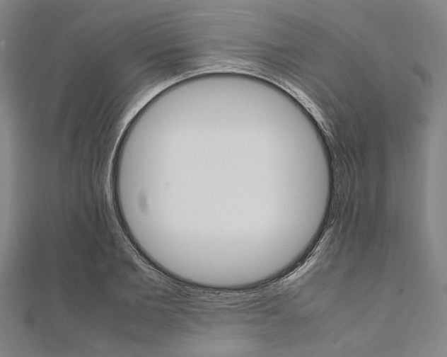 X0000112110885200908041149