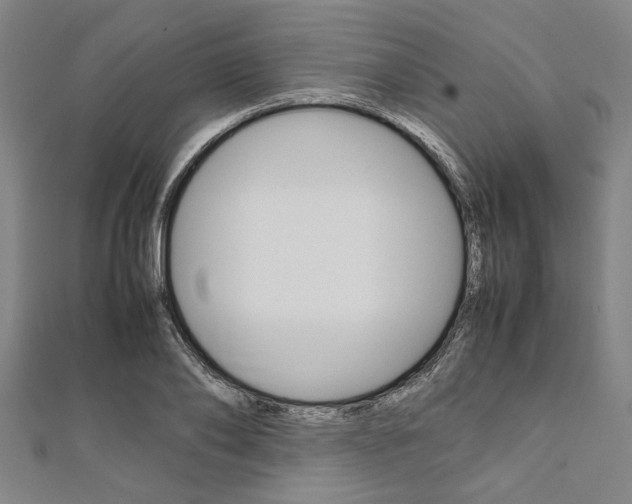 X0000112110886200908041149