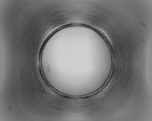X0000112110887200908041149