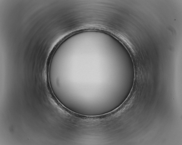 X0000112110888200908041149