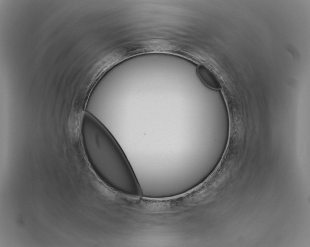 X0000112110889200908041149