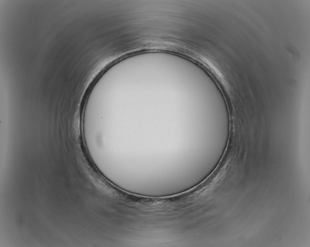 X0000112110891200908041149