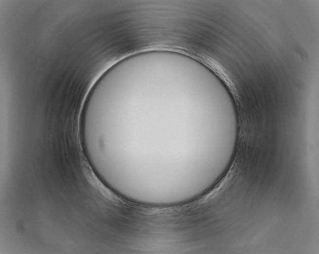 X0000112110892200908041149