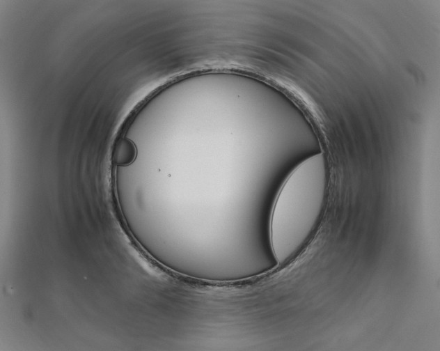 X0000112110894200908041149