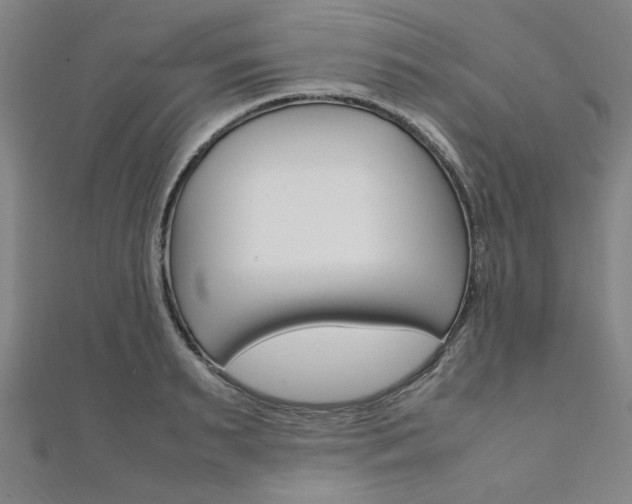 X0000112110895200908041149
