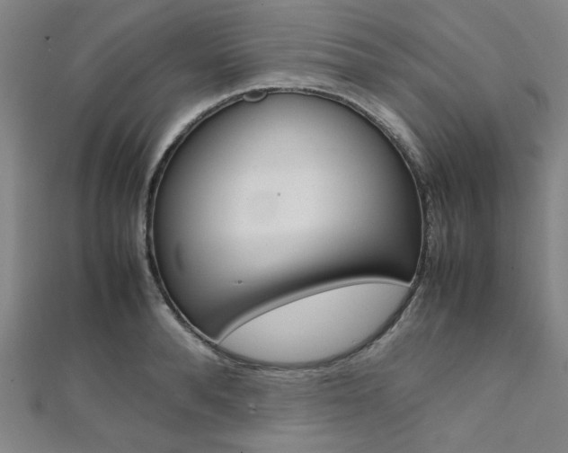 X0000112110896200908041149