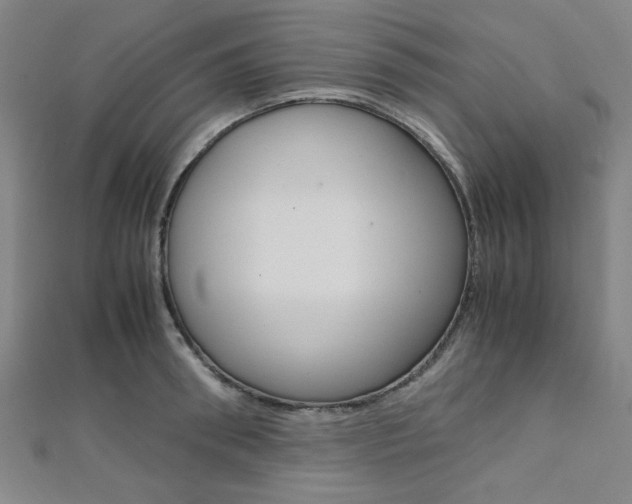X0000112110898200908041149