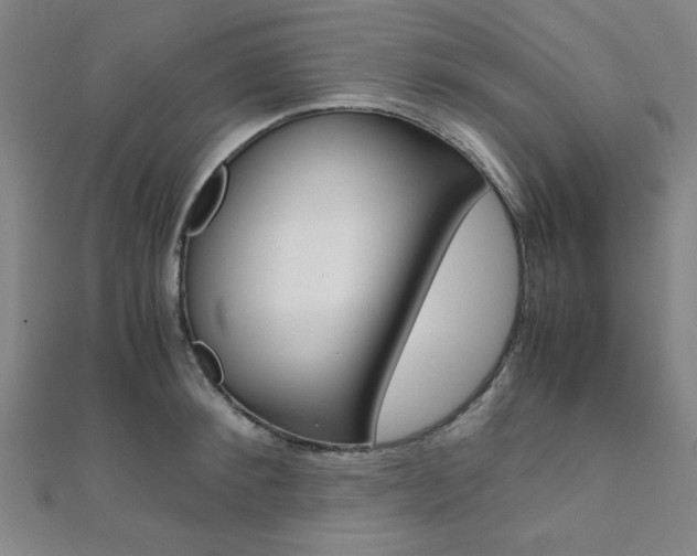 X0000112110900200908041149