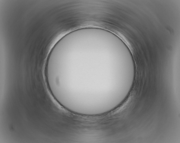 X0000112110901200908041149