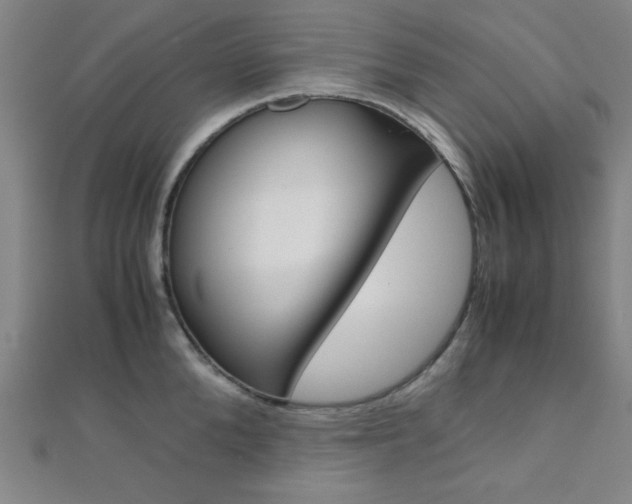 X0000112110904200908041149