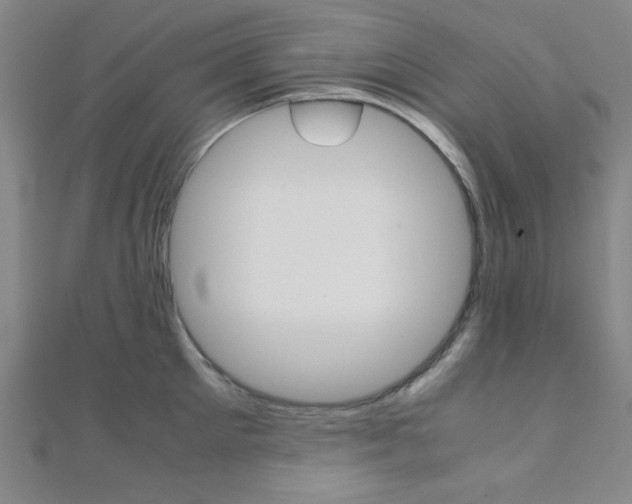 X0000112110905200908041149