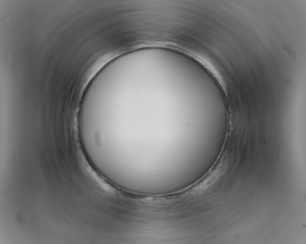 X0000112110906200908041149