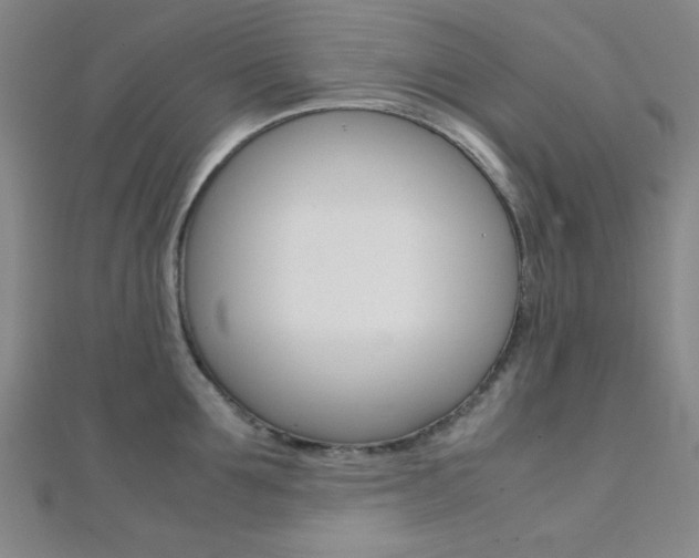 X0000112110907200908041149