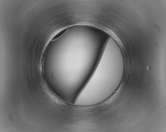 X0000112110908200908041149