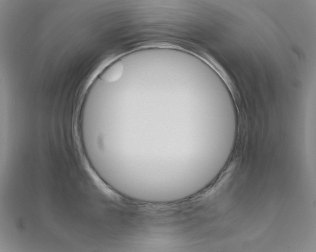 X0000112110909200908041149