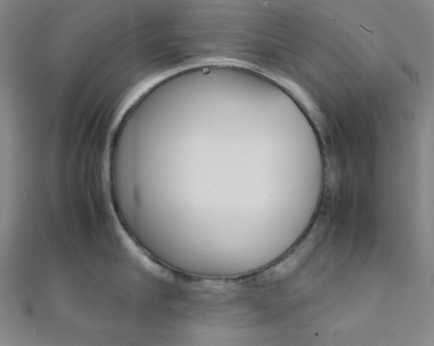 X0000112110910200908041149