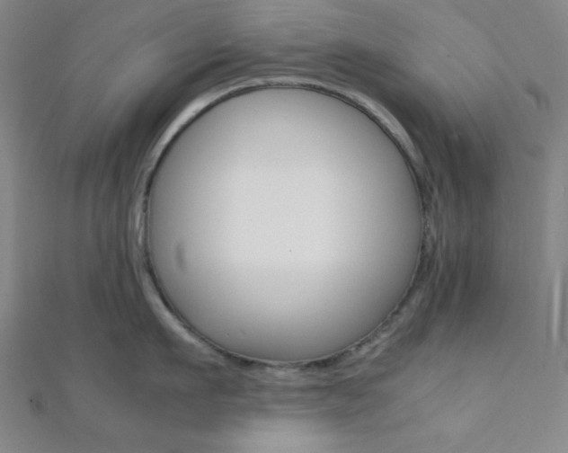 X0000112110911200908041149