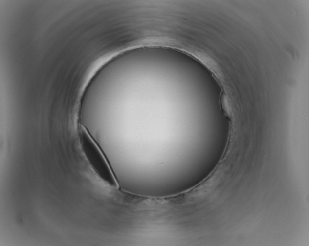 X0000112110912200908041149