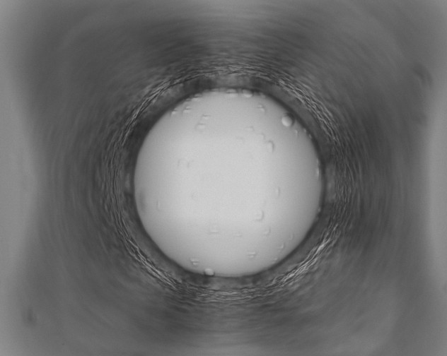 X0000112110913200908041148