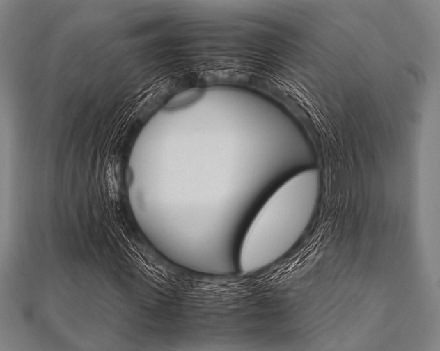 X0000112110915200908041148