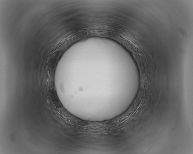 X0000112110917200908041148