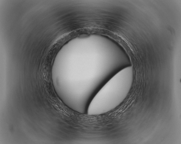 X0000112110919200908041148