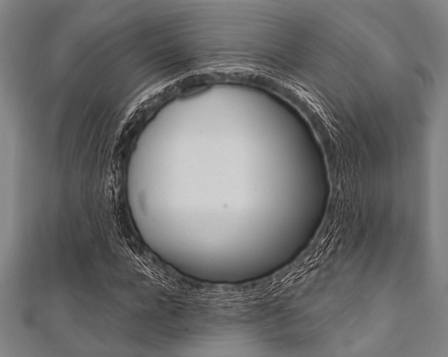 X0000112110920200908041148