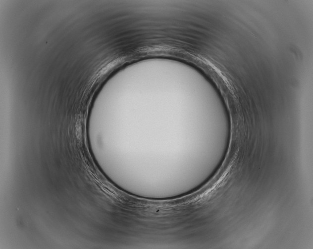 X0000112110921200908041148