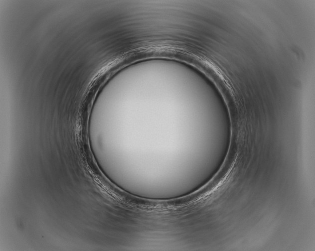 X0000112110922200908041148