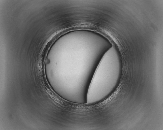 X0000112110923200908041148