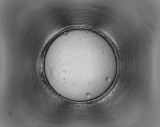 X0000112110925200908041148