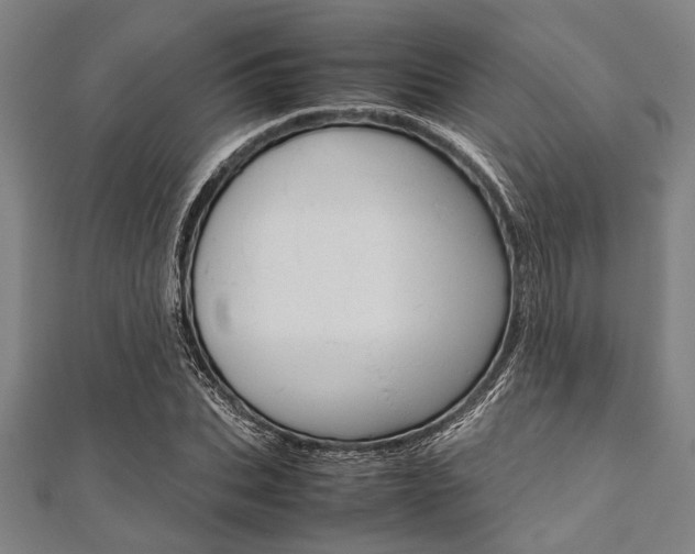 X0000112110927200908041148