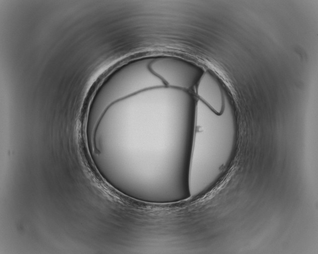 X0000112110928200908041148