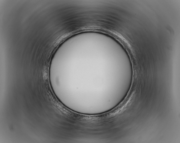 X0000112110929200908041148
