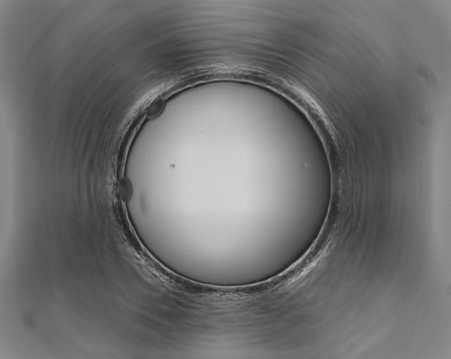 X0000112110930200908041148