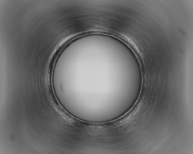 X0000112110931200908041148